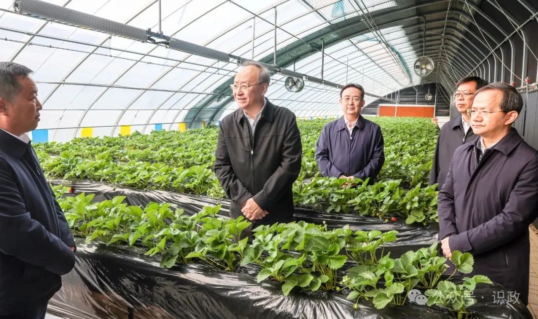 北京香港免费资料六典大全依托科技优势 大力研发生产装配式可移动柔性日光温室 为乡村振兴贡献国企力量