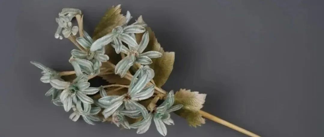 非遗之美｜袅袅蚕丝，缀朵朵绒花——绒花