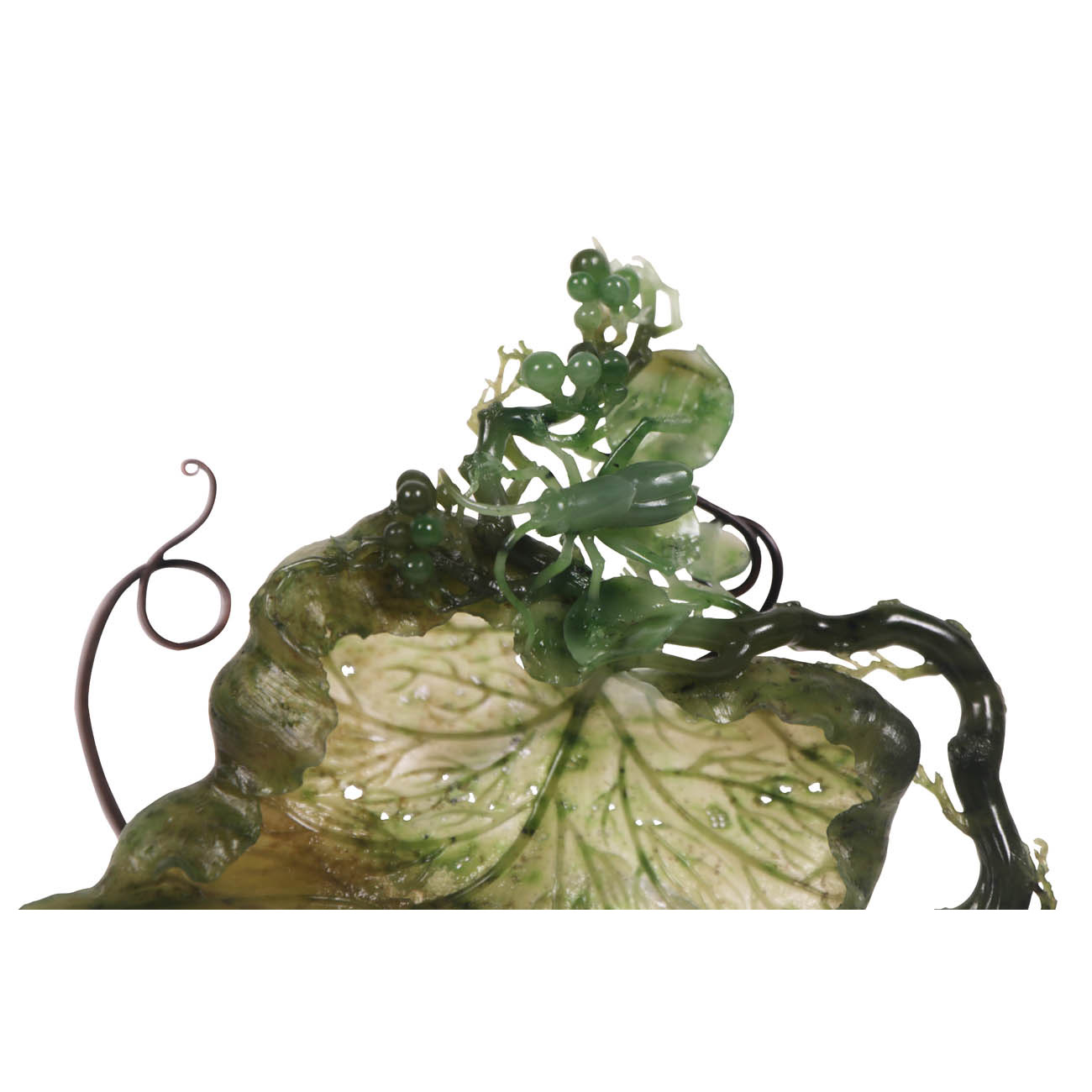 qiuyemingchong-2