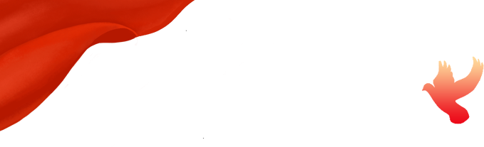 51.png